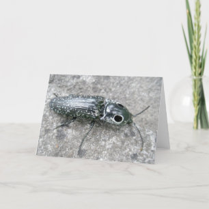 Cartão De Festividades Placa de Nota de Foco em Foco