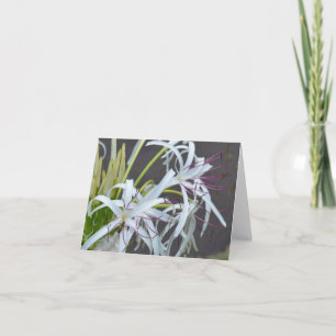 Cartão De Festividades Placa de Nota de Fragrância Floral