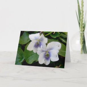 Cartão De Festividades Placa de Nota de Par Violeta Branco