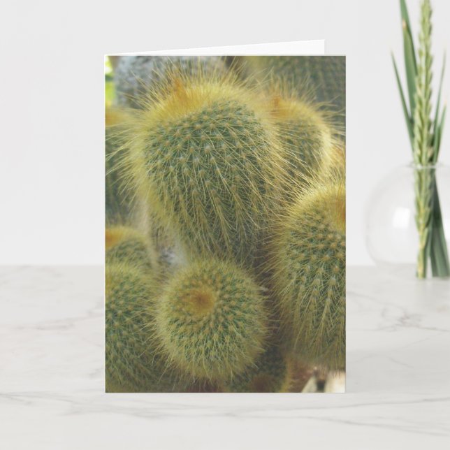 Cartão De Festividades Placa de Nota do Cactus ouro (Frente)