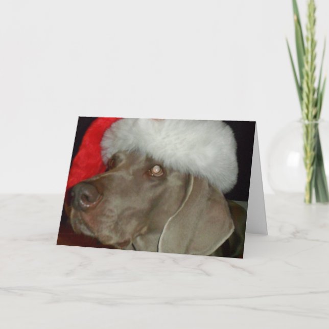 Cartão De Festividades Placa de Papais noeis Weimaraner (Frente)