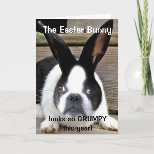 Cartão De Festividades Placa de Páscoa 2011 da Shorty (Frente)