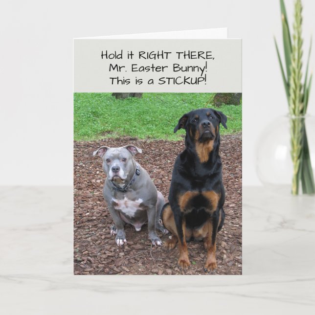 Cartão De Festividades Placa de Páscoa do Bunny Stickup (Frente)