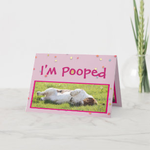 Cartão De Festividades Placa de Páscoa engraçada com Hound de cesto