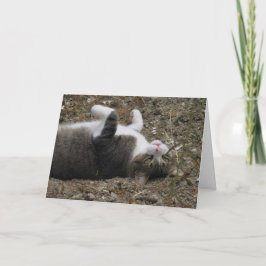 Cartão De Festividades Placa de Páscoa invertida para Cat