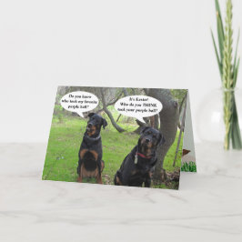 Cartão De Festividades Placa de Páscoa Pesky Easter Bunny Rottweiler