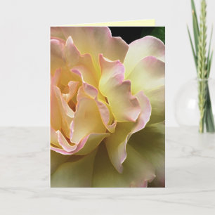 Cartão De Festividades Placa de Páscoa Rosa Amarela Gloriosa