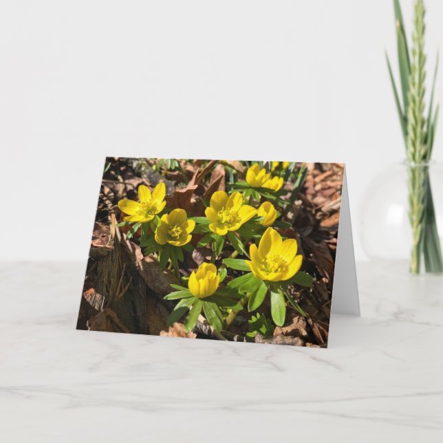 Cartão De Festividades Placa de saudação de inverno/Primavera (Dentro Vaz (Frente)