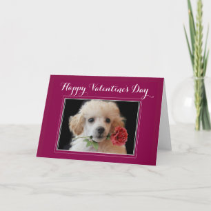 Cartão De Festividades placa de saudação do poodle do dia de os namorados