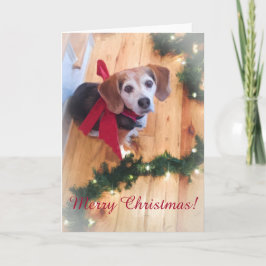 Cartão De Festividades Placa de Vazio Personalizável Feliz Natal
