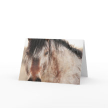 Placa de Vazio Sir Behr