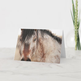 Cartão De Festividades Placa de Vazio Sir Behr