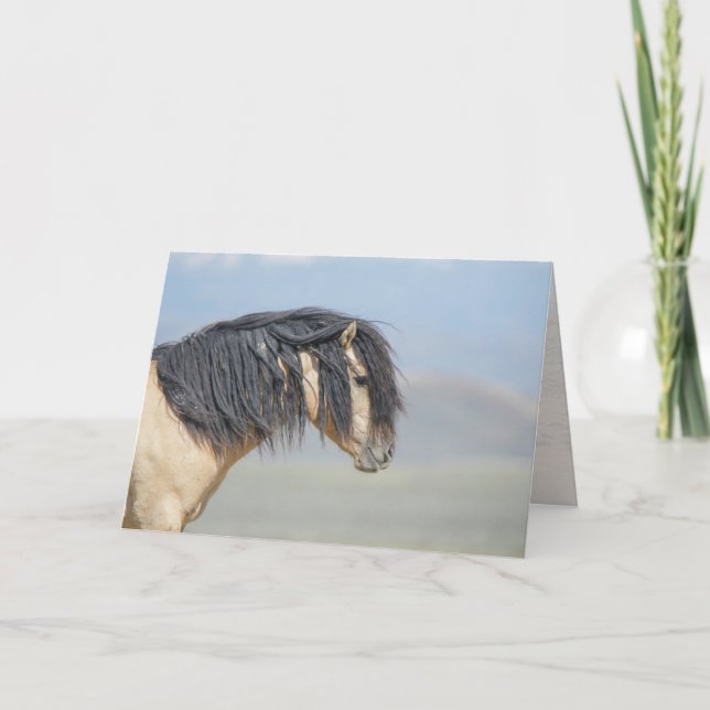 Cartão De Festividades Placa de Vazio Wicahpi Hinhpaya (Fallen Star) (Frente)