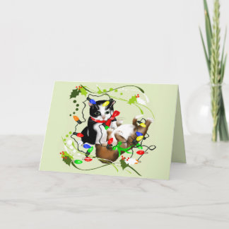 Cartão De Festividades Placa Kittens N LuzesP