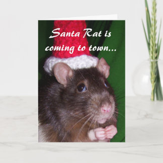 Cartão De Festividades Placa: Papai noel Rat