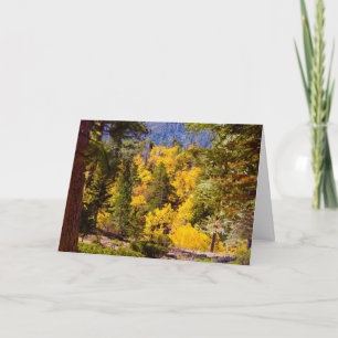 Cartão De Festividades Placa Psalm 95:2