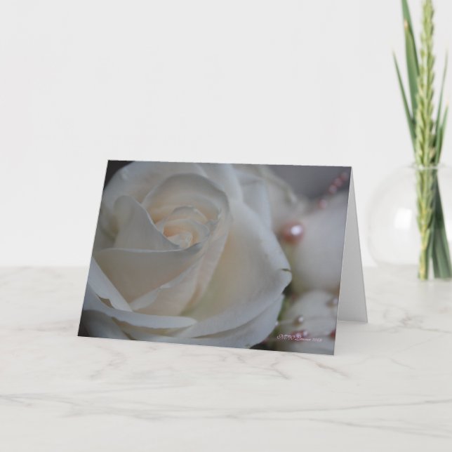 Cartão De Festividades Placa rosa6 (Frente)