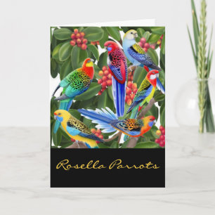 Cartão De Festividades Placa Rosella Parrots Colorida