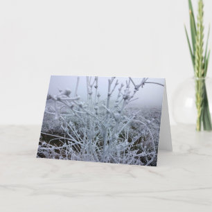 Cartão De Festividades Plantas congeladas Paisagem de inverno
