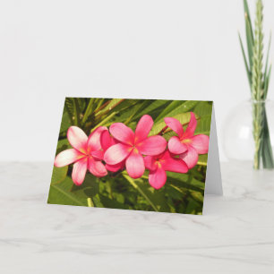 Cartão De Festividades Plumeria