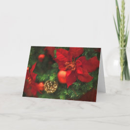 Cartão De Festividades Poinsettia Beauty