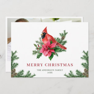 Cartão De Festividades Poinsettia Red Cardinho Saudação FOTO