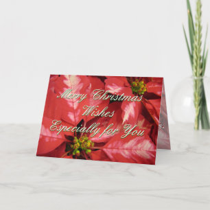 Cartão De Festividades PoinsettiaMC-customize