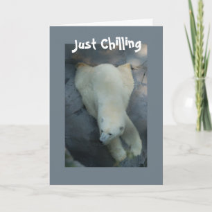 Cartão De Festividades Polar Bear Just Chilling