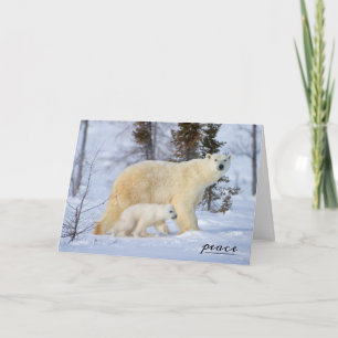 Cartão De Festividades Polar Bear Madre e Cubo na Tundra