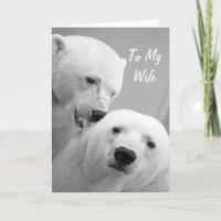 Polar Bears Marido para a Festa de Aniversário da