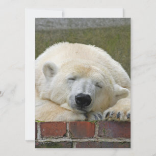 Cartão De Festividades PolarBear 001