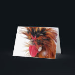 Cartão De Festividades Polonês Rooster Winter Snow Christmas<br><div class="desc">Fotografia de Angelandspot 2010 Polonês e eu saímos para jogar na neve por alguns minutos antes de voltar para o celeiro.</div>