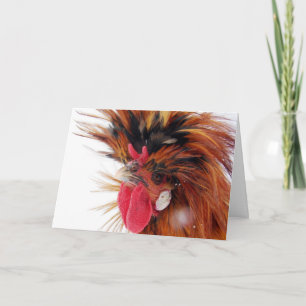 Cartão De Festividades Polonês Rooster Winter Snow Christmas