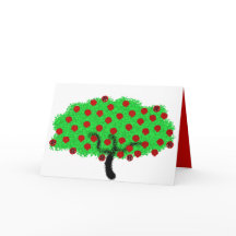 Pomegranato espumante Tu B'Shvat Shavuot