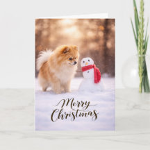 Pomerânia Boneco de Neve de Natal