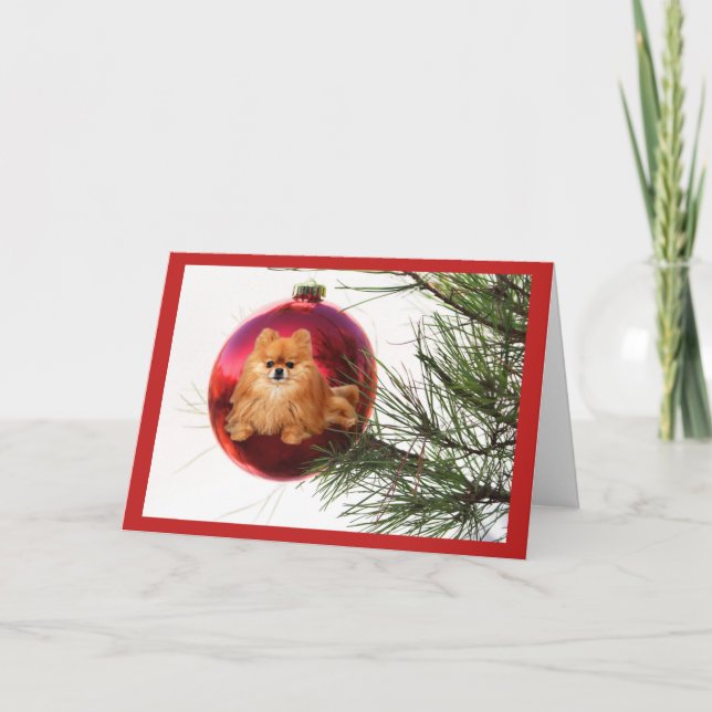 Cartão De Festividades Pomeranian  Christmas Card Red Ball (Frente)