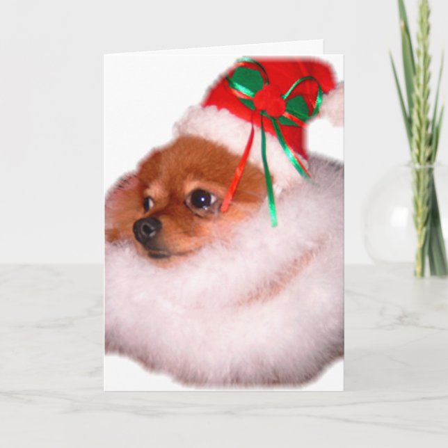 Cartão De Festividades Pomeranian Santa Christmas Card (Frente)