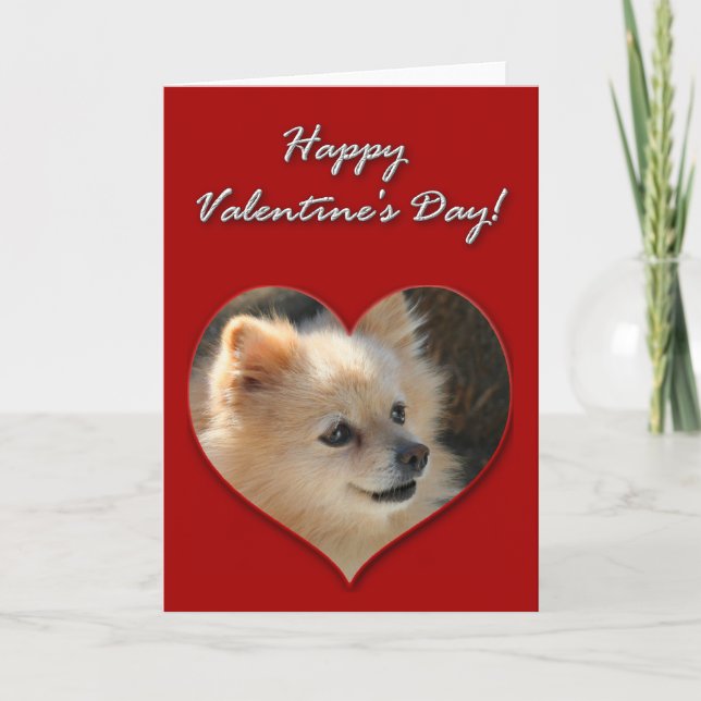 Cartão De Festividades Pomeranian Valentines Day Card (Frente)