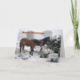 Cartão De Festividades Ponies-in-snowstorm Christmas card