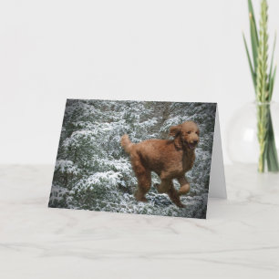 Cartão De Festividades Poodle de Natal