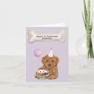 Cartão De Festividades Poodle Mix Cavapoo Birthday