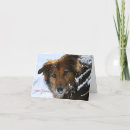Cartão De Festividades Poppy loves snow