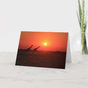 Cartão De Festividades Por do sol na bandeja de Nxai