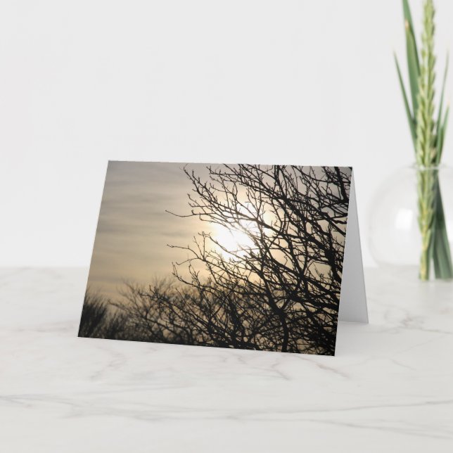 Cartão De Festividades Pôr do sol na queimadura suja (Frente)