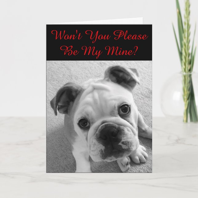 Cartão De Festividades Por Favor, Seja Meu Namorados (Frente)