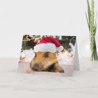 Cartão De Festividades Porco Doce Na Árvore De Natal De Santa Hat