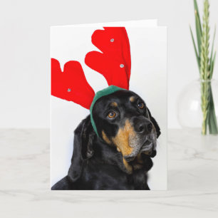 Cartão De Festividades Portrait of Coonhound dog, wearing red antlers