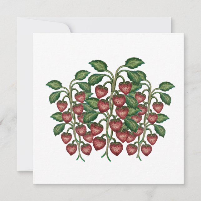 Cartão De Festividades Postcard (Frente)