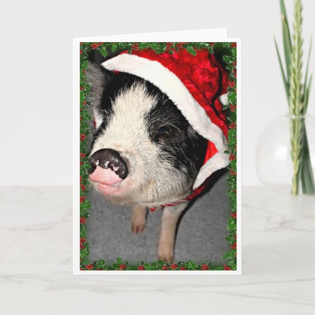 Cartão De Festividades Pot Belly Pig Christmas (Frente)