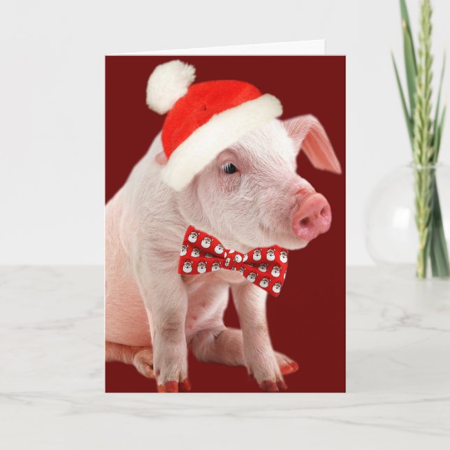 Cartão De Festividades Potbelly Pig Oink Card (Frente)